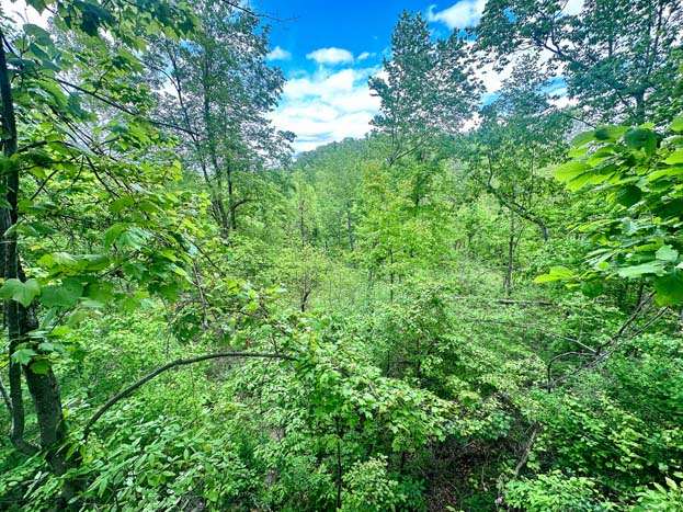 view from cabin site – Whitetail hunting land in Gallia County near Wayne National Forest, Tract 1