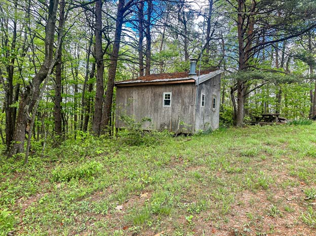sunlight filtering through forest – Whitetail hunting land in Gallia County near Wayne National Forest, Tract 1
