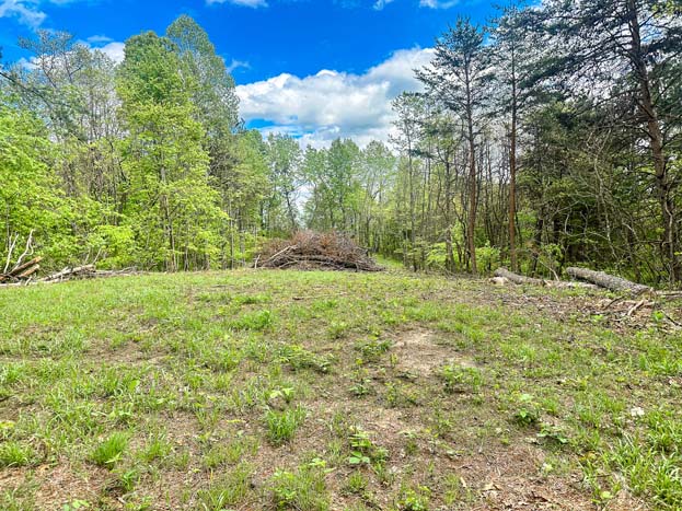 property boundary marker – Whitetail hunting land in Gallia County near Wayne National Forest, Tract 1
