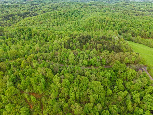 cleared access trail – Whitetail hunting land in Gallia County near Wayne National Forest, Tract 1