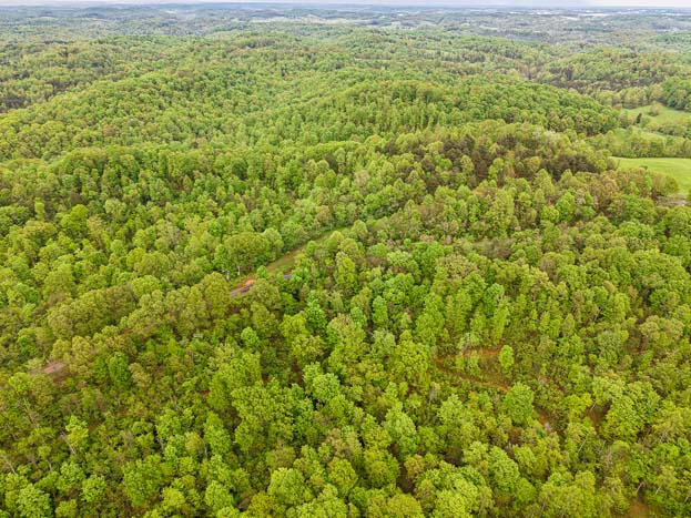 view toward Wayne National Forest – Whitetail hunting land in Gallia County near Wayne National Forest, Tract 1
