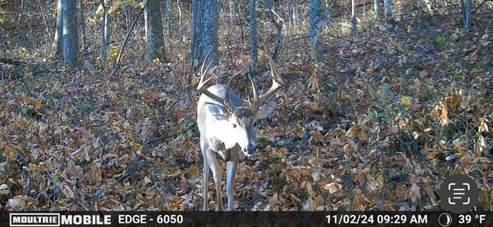 natural deer funnel zone – Whitetail hunting land in Gallia County near Wayne National Forest, Tract 1