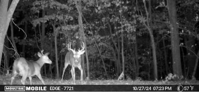 trail camera placement spot – Whitetail hunting land in Gallia County near Wayne National Forest, Tract 1