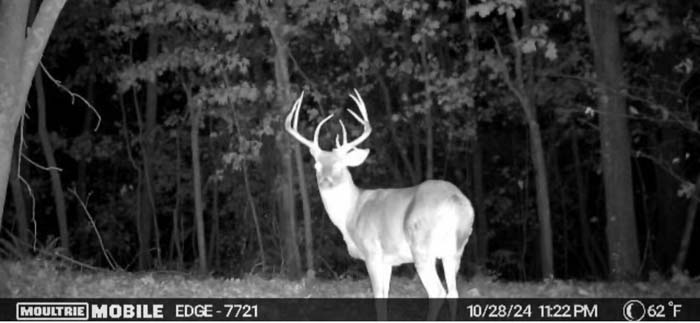 game path across utility lane – Whitetail hunting land in Gallia County near Wayne National Forest, Tract 1