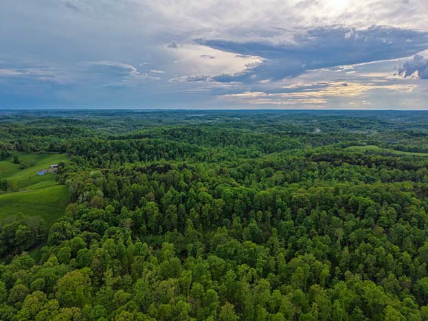 deer trail through brush – Whitetail hunting land in Gallia County near Wayne National Forest, Tract 1