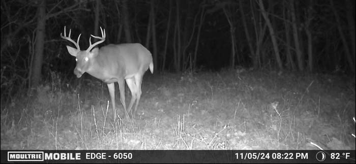 footpath leading uphill – Whitetail hunting land in Gallia County near Wayne National Forest, Tract 1