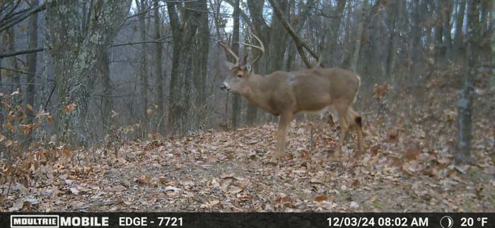 power line running through woods – Whitetail hunting land in Gallia County near Wayne National Forest, Tract