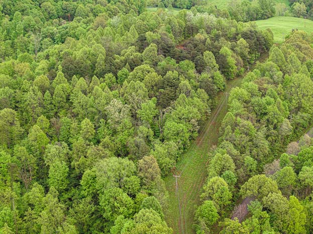 mini cabin site – Whitetail hunting land in Gallia County near Wayne National Forest, Tract 1