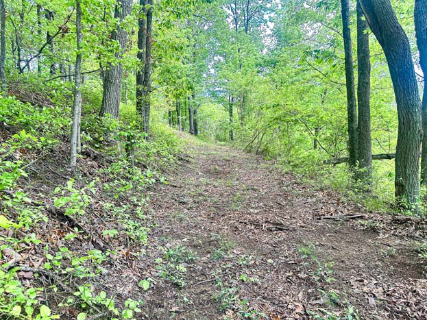 utility line clearing – Whitetail hunting land in Gallia County near Wayne National Forest, Tract 1