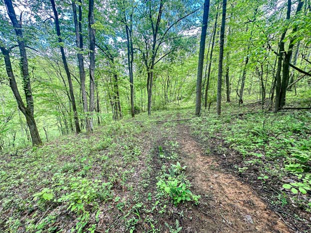 quiet blacktop frontage – Whitetail hunting land in Gallia County near Wayne National Forest, Tract 1