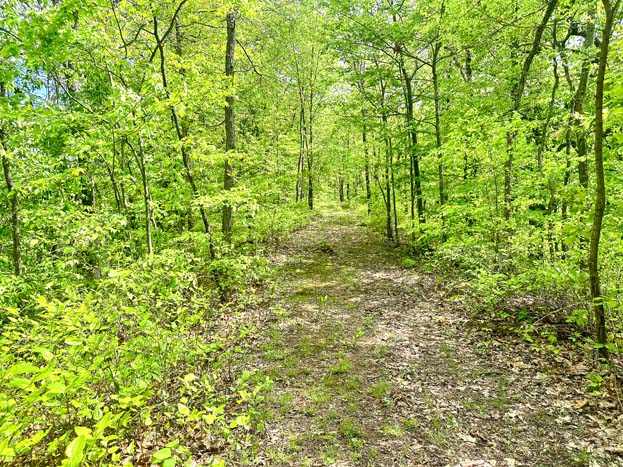 gated entry point – Whitetail hunting land in Gallia County near Wayne National Forest, Tract 1