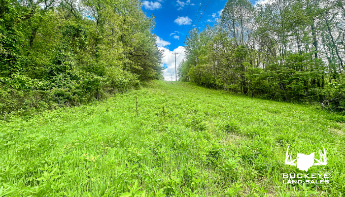 3018 German Hollow Road tract #1 40+/- Acres, Patriot, Ohio, 45658
