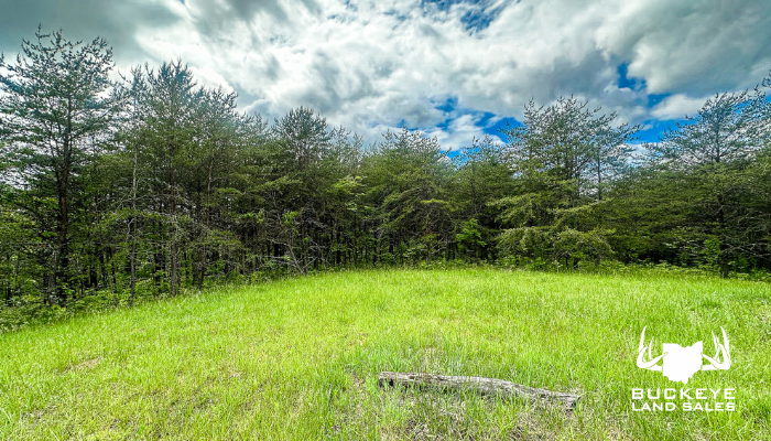 3018 German Hollow Road TRACT 2 40+/- Acres, Patriot, Ohio, 45658
